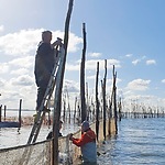 Weervisserij SBW foto 3 netten hangen in het fuikgat
