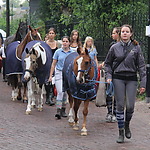 Sint Jacobus Paardenmarkt Alblasserdam