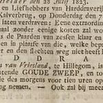 1823 Draverijen-Hillegom Opr.H.Crt 31-07-1823.jpg