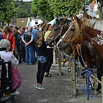 Voorschotense Paardendagen Voorschoten- Paardenmarkt