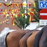 Paardenmarkt Valkenburg ZH Feest in Valkenburg