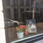 Mariabeeld in venster Peperstraat binnenstad